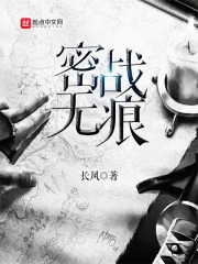 《密战无痕》（校对版全本）作者：长风 封面