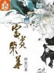 《富贵荣华》（校对版全本）作者：府天 封面