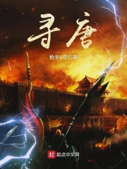 《寻唐》（校对版全本）作者：枪手1号 封面