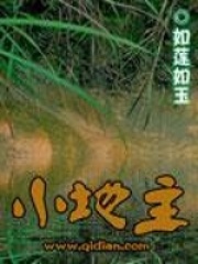 《小地主》（校对版全本）作者：如莲如玉 封面