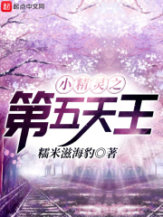 《小精灵之第五天王》（校对版全本）作者：糯米滋海豹 封面