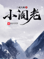 《小阁老》（校对版全本）作者：三戒大师 封面