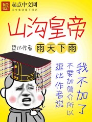 《山沟皇帝》（校对版全本）作者：雨天下雨 封面