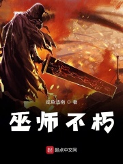 《巫师不朽》（校对版全本）作者：咸鱼洁南 封面
