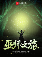 《巫师之旅》（校对版全本）作者：一行白鹭上青天 封面