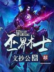 《巫界术士》（校对版全本）作者：文抄公 封面