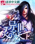 《异世灵武天下》（校对版全本）作者：禹枫 封面