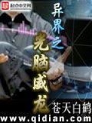 《异界之光脑威龙》（校对版全本）作者：苍天白鹤 封面