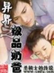 《异界之极品奶爸》（校对版全本）作者：圣骑士的传说 封面