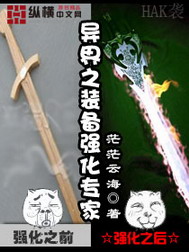 《异界之装备强化专家》（校对版全本）作者：茫茫云海 封面