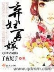 《弃妇再嫁》（校对版全本）作者：子夜妃子 封面