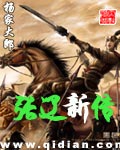《张辽新传》（校对版全本）作者：杨家大郎 封面