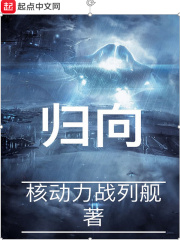 《归向》（校对版全本）作者：核动力战列舰 封面