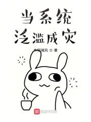 《当系统泛滥成灾》（校对版全本）作者：木羽澜风 封面