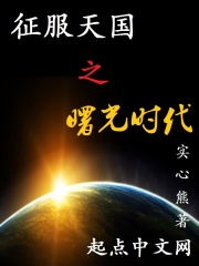 《征服天国之曙光时代》（校对版全本）作者：实心熊 封面