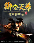 《御宝天尊》（校对版全本）作者：檀木香炉 封面