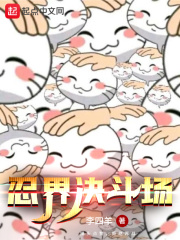 《忍界决斗场》（校对版全本）作者：李四羊 封面
