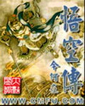《悟空传》（校对版全本）作者：今何在 封面