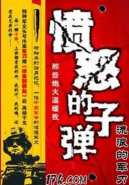 《愤怒的子弹》（校对版全本）作者：流浪的军刀 封面