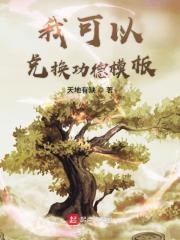 《我可以兑换功德模板》（校对版全本）作者：天地有缺 封面