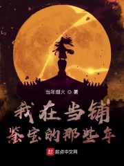 《我在当铺鉴宝的那些年》（校对版全本）作者：当年烟火 封面