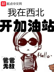 《我在西北开加油站》（校对版全本）作者：爸爸无敌 封面