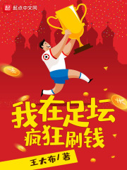 《我在足坛疯狂刷钱》（校对版全本）作者：王大布 封面