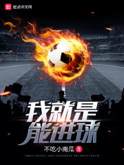 《我就是能进球》（校对版全本）作者：不吃小南瓜 封面