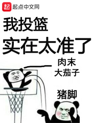 《我投篮实在太准了》（校对版全本）作者：肉末大茄子 封面