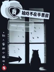 《我拍戏不在乎票房》（校对版全本）作者：别人家的小猫咪 封面