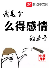 《我是个么得感情的杀手》（校对版全本）作者：中秋月明 封面