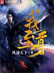 《我是至尊》（校对版全本）作者：风凌天下 封面