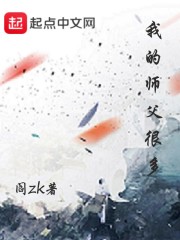 《我的师父很多》（校对版全本）作者：阎ZK 封面