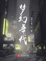 《我的梦幻年代》（校对版全本）作者：油炸大金 封面