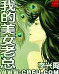 《我的美女老总》（校对版全本）作者：李兴禹 封面