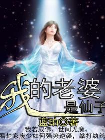 《我的老婆是仙子》（校对版全本）作者：蓝珀 封面