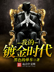 《我的镀金时代》（校对版全本）作者：黑色的单车 封面