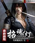 《我的阴阳招魂灯》（校对版全本）作者：乌啼霜满天 封面