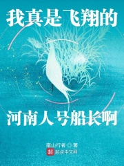 《我真是飞翔的河南人号船长啊》（校对版全本）作者：南山行者 封面