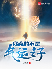 《我真的不是气运之子》（校对版全本）作者：云中殿 封面