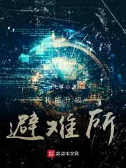《我能升级避难所》（校对版全本）作者：十七筝 封面