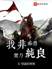 《我非痴愚实乃纯良》（校对版全本）作者：怪诞的表哥 封面