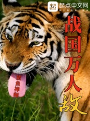 《战国万人敌》（校对版全本）作者：鲨鱼禅师 封面
