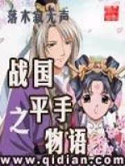 《战国之平手物语》（校对版全本）作者：落木寂无声 封面