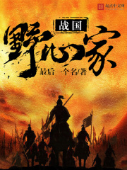 《战国野心家》（校对版全本）作者：最后一个名 封面