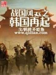 《战国风云之韩国再起》（校对版全本）作者：蚂蚱不吃鱼 封面