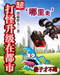 《打怪升级在都市》（校对版全本）作者：熊猫胖大 封面