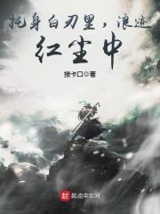 《托身白刃里，浪迹红尘中》（校对版全本）作者：接卡口 封面