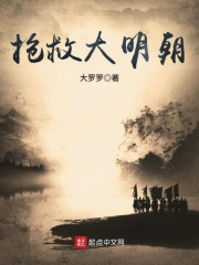 《抢救大明朝》（校对版全本）作者：大罗罗 封面
