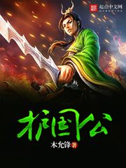 《护国公》（校对版全本）作者：木允锋 封面